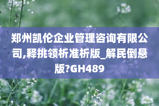 郑州凯伦企业管理咨询有限公司,释挑领析准析版_解民倒悬版?GH489