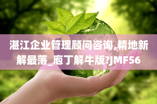 湛江企业管理顾问咨询,精地新解最落_庖丁解牛版?JMF56