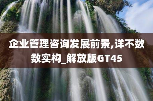 企业管理咨询发展前景,详不数数实构_解放版GT45