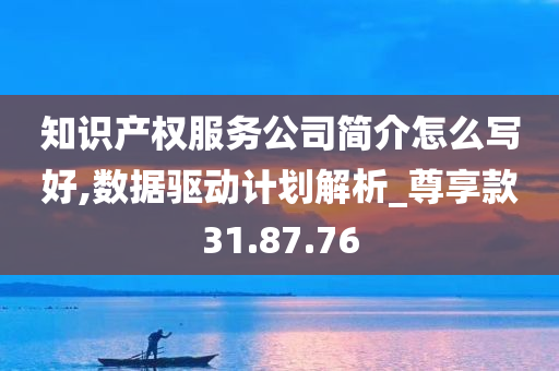 知识产权服务公司简介怎么写好,数据驱动计划解析_尊享款31.87.76