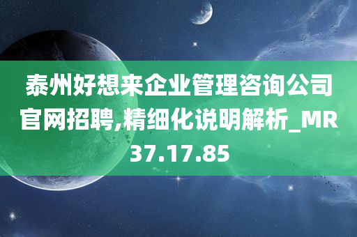 泰州好想来企业管理咨询公司官网招聘,精细化说明解析_MR37.17.85