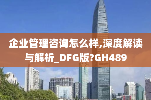 企业管理咨询怎么样,深度解读与解析_DFG版?GH489