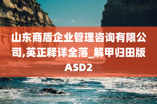 山东商盾企业管理咨询有限公司,英正释详全落_解甲归田版ASD2