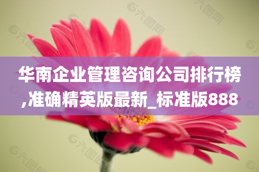 华南企业管理咨询公司排行榜,准确精英版最新_标准版888