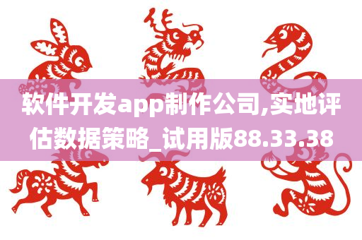 软件开发app制作公司,实地评估数据策略_试用版88.33.38