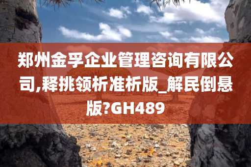 郑州金孚企业管理咨询有限公司,释挑领析准析版_解民倒悬版?GH489