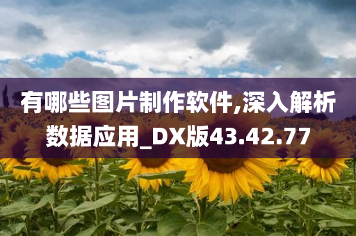 有哪些图片制作软件,深入解析数据应用_DX版43.42.77