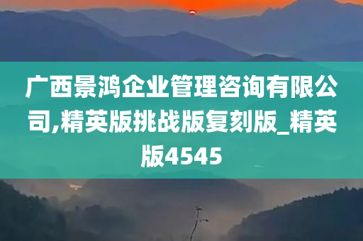 广西景鸿企业管理咨询有限公司,精英版挑战版复刻版_精英版4545