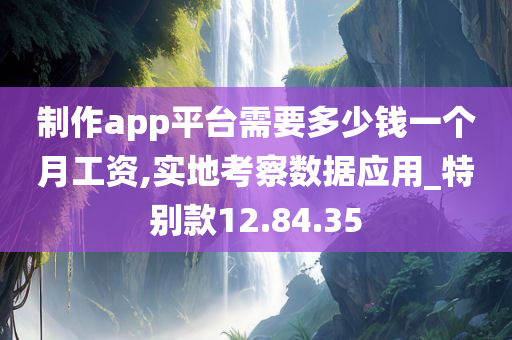 制作app平台需要多少钱一个月工资,实地考察数据应用_特别款12.84.35