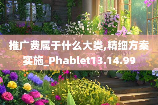 推广费属于什么大类,精细方案实施_Phablet13.14.99