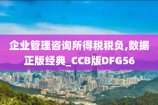 企业管理咨询所得税税负,数据正版经典_CCB版DFG56