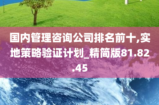 国内管理咨询公司排名前十,实地策略验证计划_精简版81.82.45