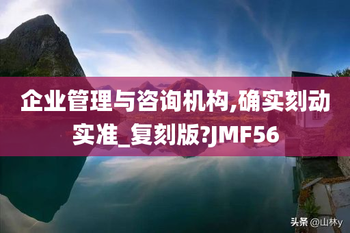 企业管理与咨询机构,确实刻动实准_复刻版?JMF56