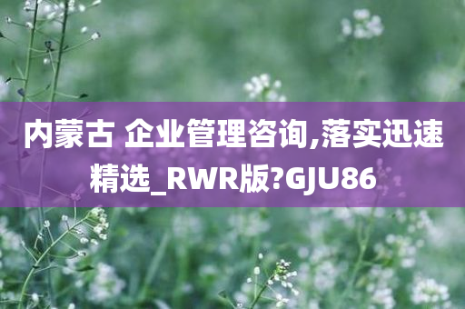 内蒙古 企业管理咨询,落实迅速精选_RWR版?GJU86