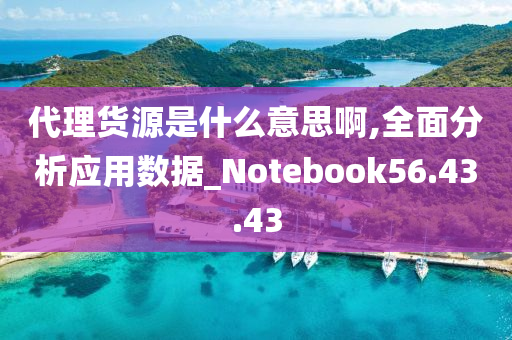 代理货源是什么意思啊,全面分析应用数据_Notebook56.43.43