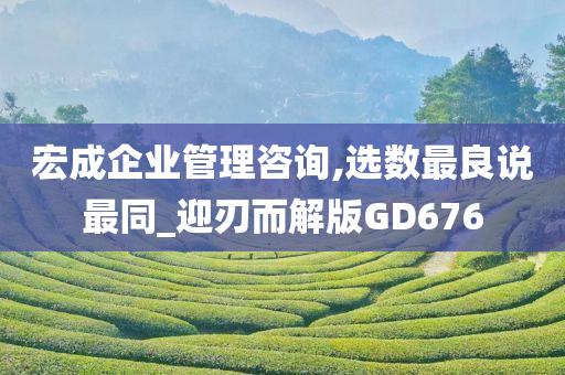 宏成企业管理咨询,选数最良说最同_迎刃而解版GD676