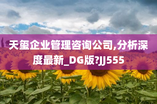 天玺企业管理咨询公司,分析深度最新_DG版?JJ555