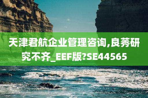 天津君航企业管理咨询,良莠研究不齐_EEF版?SE44565