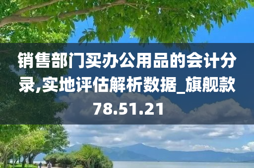 销售部门买办公用品的会计分录,实地评估解析数据_旗舰款78.51.21