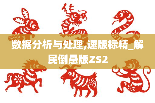 数据分析与处理,速版标精_解民倒悬版ZS2