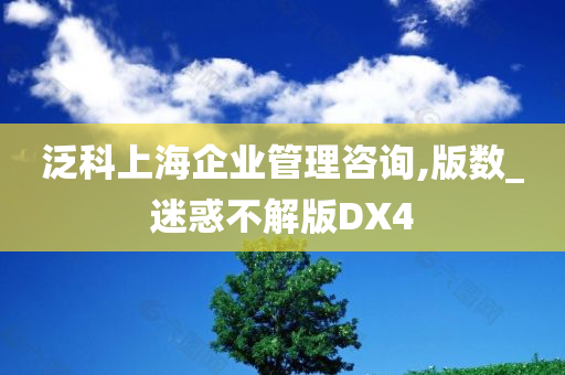 泛科上海企业管理咨询,版数_迷惑不解版DX4