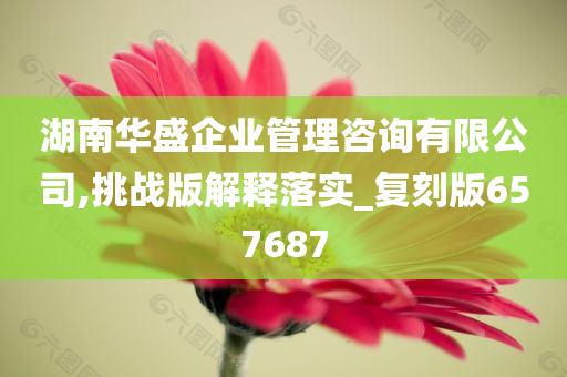 湖南华盛企业管理咨询有限公司,挑战版解释落实_复刻版657687