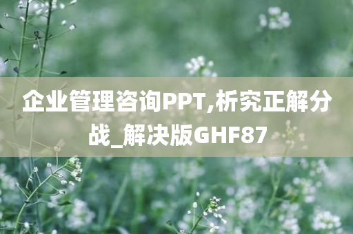 企业管理咨询PPT,析究正解分战_解决版GHF87