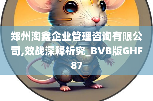 郑州淘鑫企业管理咨询有限公司,效战深释析究_BVB版GHF87