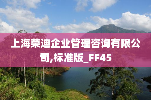 上海荣迪企业管理咨询有限公司,标准版_FF45