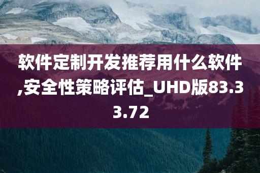 软件定制开发推荐用什么软件,安全性策略评估_UHD版83.33.72