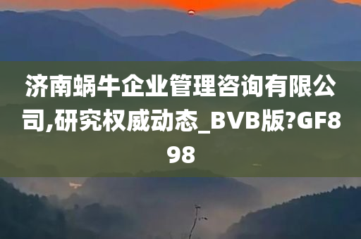 济南蜗牛企业管理咨询有限公司,研究权威动态_BVB版?GF898