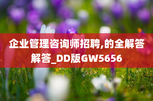 企业管理咨询师招聘,的全解答解答_DD版GW5656