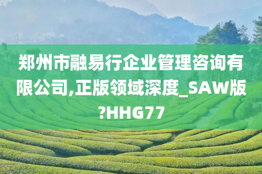 郑州市融易行企业管理咨询有限公司,正版领域深度_SAW版?HHG77