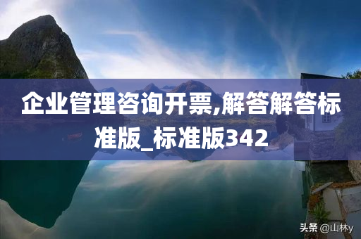 企业管理咨询开票,解答解答标准版_标准版342