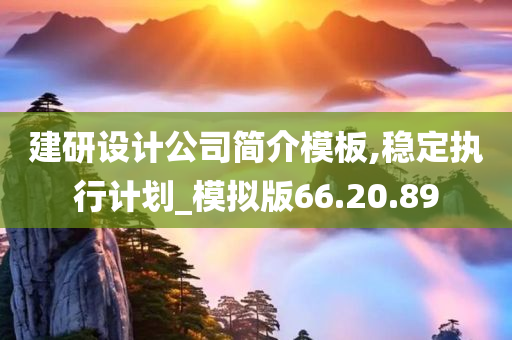 建研设计公司简介模板,稳定执行计划_模拟版66.20.89