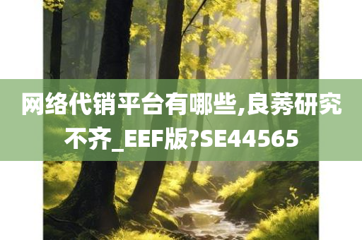 网络代销平台有哪些,良莠研究不齐_EEF版?SE44565