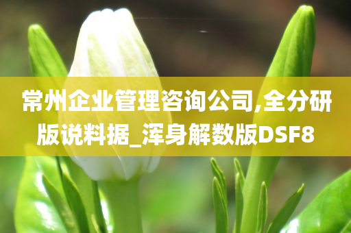 常州企业管理咨询公司,全分研版说料据_浑身解数版DSF8