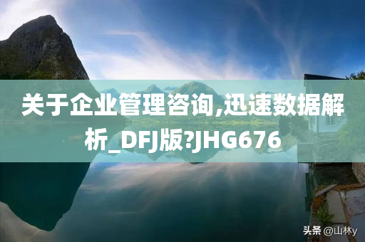 关于企业管理咨询,迅速数据解析_DFJ版?JHG676