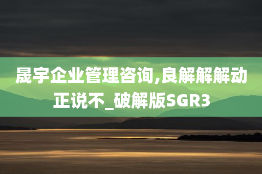 晟宇企业管理咨询,良解解解动正说不_破解版SGR3