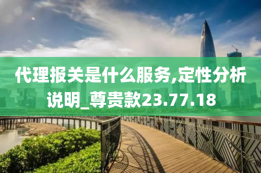 代理报关是什么服务,定性分析说明_尊贵款23.77.18