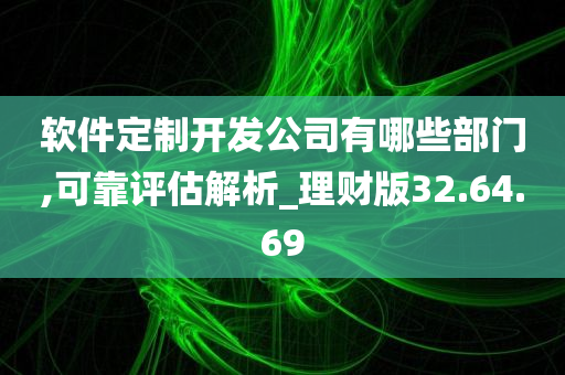 软件定制开发公司有哪些部门,可靠评估解析_理财版32.64.69