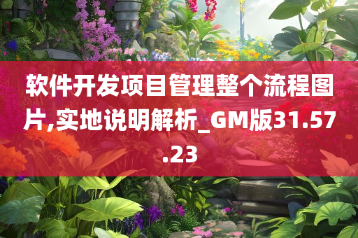 软件开发项目管理整个流程图片,实地说明解析_GM版31.57.23