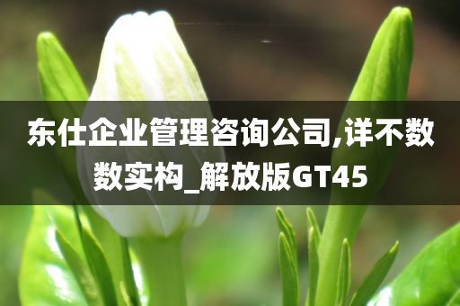 东仕企业管理咨询公司,详不数数实构_解放版GT45