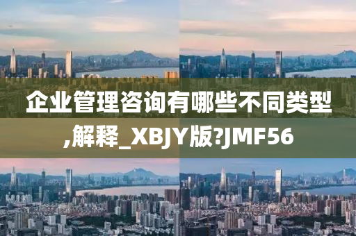 企业管理咨询有哪些不同类型,解释_XBJY版?JMF56