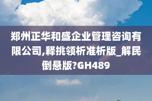 郑州正华和盛企业管理咨询有限公司,释挑领析准析版_解民倒悬版?GH489