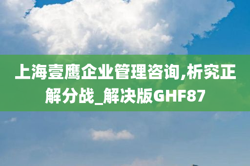 上海壹鹰企业管理咨询,析究正解分战_解决版GHF87