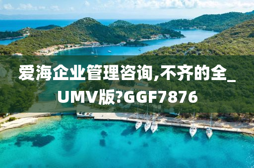 爱海企业管理咨询,不齐的全_UMV版?GGF7876