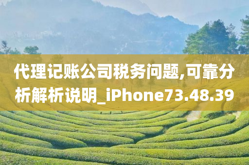 代理记账公司税务问题,可靠分析解析说明_iPhone73.48.39