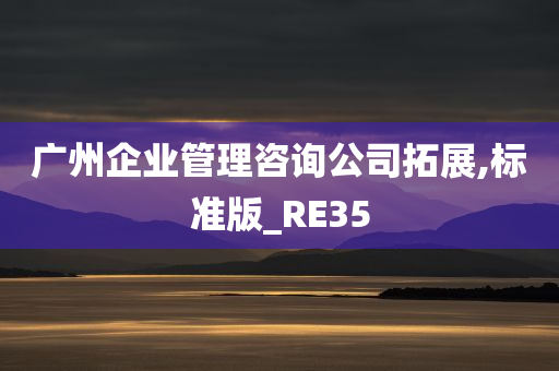 广州企业管理咨询公司拓展,标准版_RE35