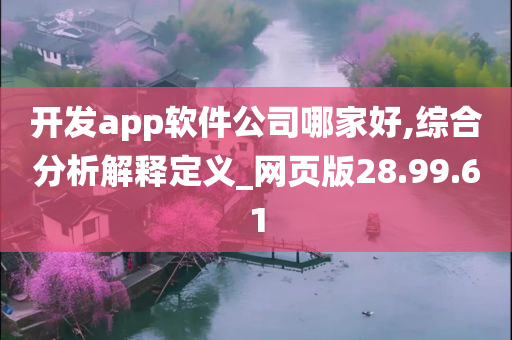 开发app软件公司哪家好,综合分析解释定义_网页版28.99.61